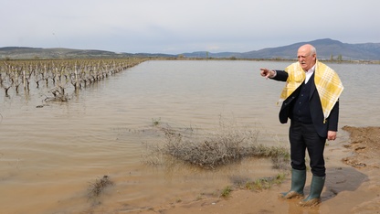 TZOB Genel Başkanı Bayraktar, İzmir'de aşırı yağışlardan etkilenen bölgeleri inceledi