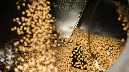 Beş kuşaktır kavurdukları Tavşanlı leblebisini Orta Doğu ve Avrupa'ya gönderiyorlar