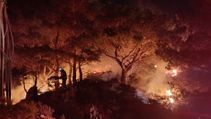 Bodrum'da ormanlık alanda çıkan yangın söndürüldü