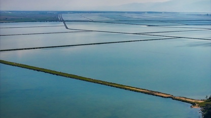 Gediz Deltası kuraklık ve kirlilik tehdidi altında