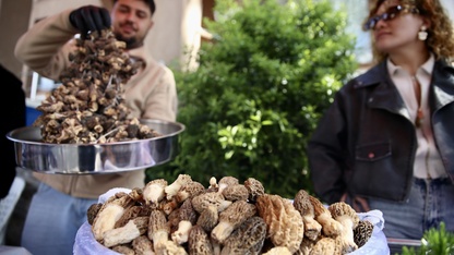 Fethiye'de 15. Dastar ve Kuzugöbeği Mantar Festivali başladı