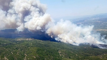 Manisa'nın Akhisar ilçesinde orman yangını çıktı