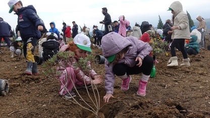 İzmir'de 100 bin fidan toprakla buluşturuldu