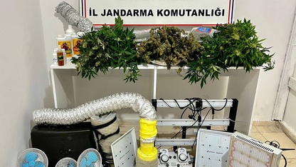 Manisa'da evde sera kurarak kenevir yetiştiren 2 şüpheli yakalandı