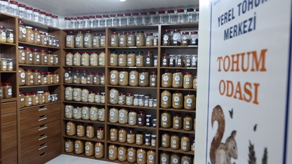 Muğla'da üretilen 22 milyon yerel tohum 81 ildeki üreticilere ulaştırıldı