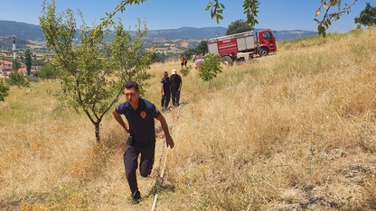 Manisa'da çıkan orman yangını kontrol altına alındı