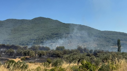İzmir'de zirai alanda çıkan yangın kontrol altına alındı