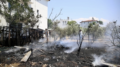 Muğla'da odunlukta başlayıp zeytinliğe sıçrayan yangın söndürüldü