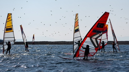 İzmir'de Yelken Ligi Techno 293 2. Ayak Türkiye Şampiyonası yarışları başladı