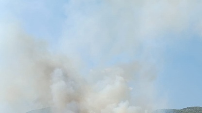 Muğla'da ormanlık alanda yangın çıktı