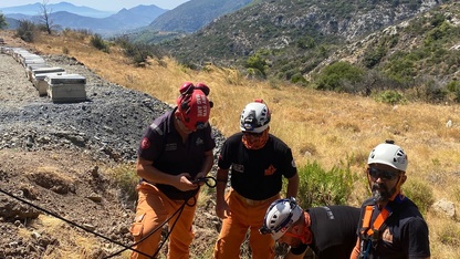 Datça'da kuyuya düşen köpek kurtarıldı
