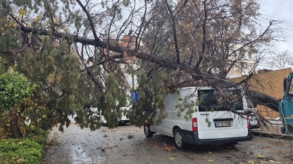 Turgutlu'da minibüsün üzerine devrilen ağaç hasara neden oldu