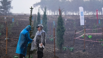 İzmir ve çevre illerde fidanlar toprakla buluştu