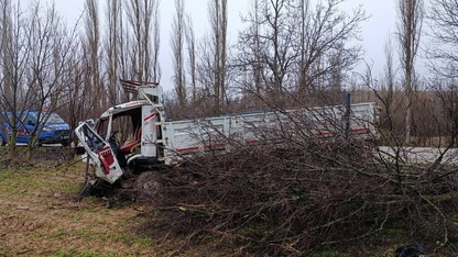 Uşak'ta kamyonun ağaçlara çarpması sonucu 4 kişi yaralandı