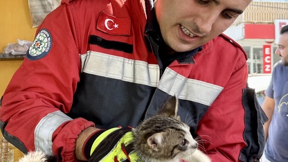 Muğla'da otomobilin motor kısmında mahsur kalan kedi yavrusu kurtarıldı