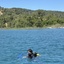 Fethiye'de deniz dibi temizliği yapıldı