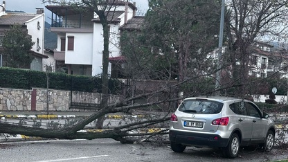 Denizli'de fırtınanın devirdiği ağaçlar 2 araca zarar verdi