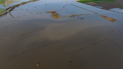 Büyük Menderes Nehri'nde taşkınlar yaşandı