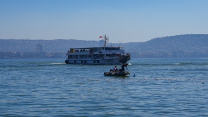 İzmir Körfezi'nde balık ölümleri sürüyor