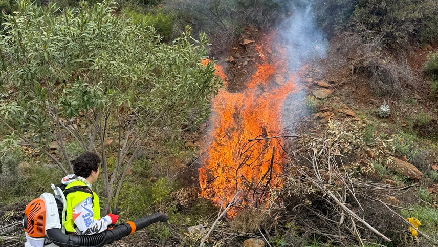 Marmaris'te orman yangınlarına karşı yol kenarlarında temizlik çalışması