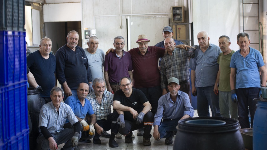 Makinenin yapamadığını erkeklerden oluşan "enginar soyma timi" yapıyor