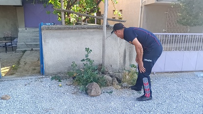 Afyonkarahisar'da apartman bahçesinde görülen yılanı itfaiye ekibi yakaladı