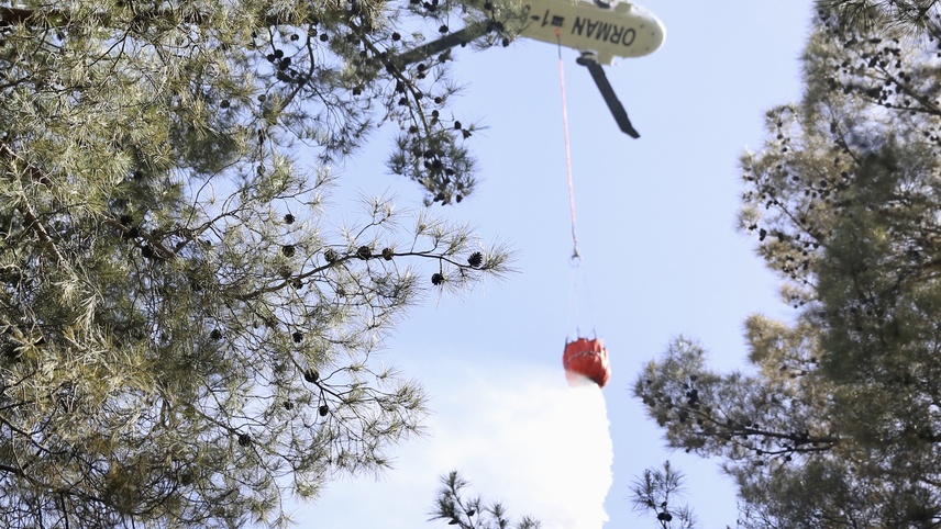 GÜNCELLEME - Fethiye'de çıkan orman yangını kontrol altına alındı