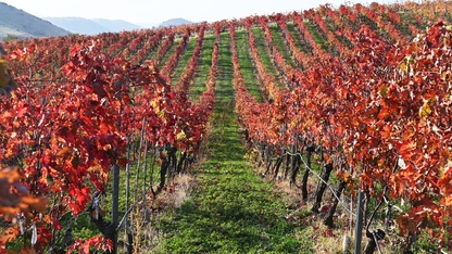 Yanık Ülke'de sonbahar renkleri