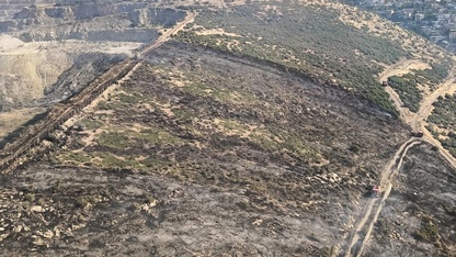 İzmir'de makilik alanda çıkan yangın kontrol altına alındı