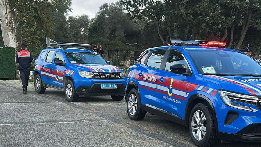 Bodrum'da 2 köpeğin tüfekle öldürülmesiyle ilgili 1 kişi yakalandı