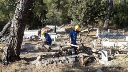 Muğla'da temizlenen mezarlıklardan elde edilen odunlar ihtiyaç sahiplerine dağıtılıyor