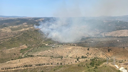İzmir'de otluk alanda çıkan yangına müdahale ediliyor