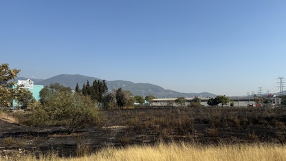 İzmir'de otluk alanda çıkan yangın kontrol altına alındı