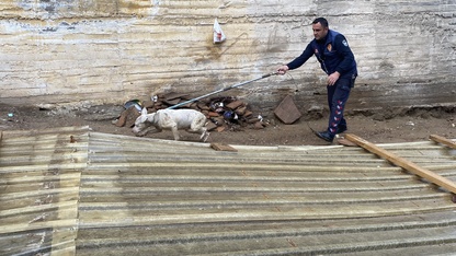 Alaşehir'de çukura düşen köpeği itfaiye kurtardı