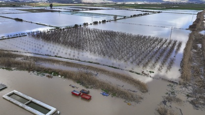 Gediz Nehri'nin taşması sonucu İzmir'de tarım arazileri sular altında kaldı