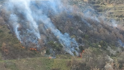 İzmir'de tarım arazisinde çıkan yangın kontrol altına alındı