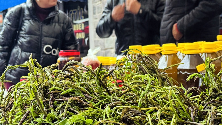 Bodrum'da 7. Acı Ot Festivali başladı