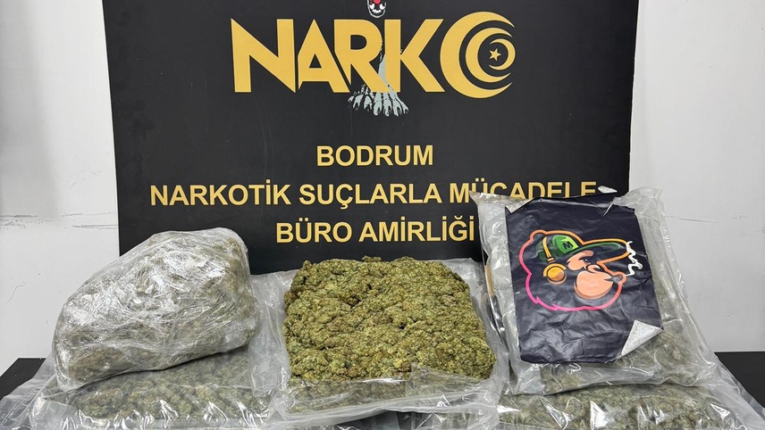 Bodrum'da uyuşturucu operasyonunda gözaltına alınan 2 zanlı tutuklandı