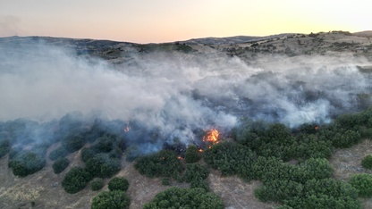 Manisa'da makilik alanda çıkan yangın söndürüldü