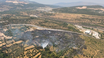 GÜNCELLEME - Muğla'da tarım arazisinde çıkan yangın kontrol altına alındı
