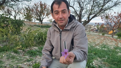 Demircili çiftçi safran üretimi için denemelere başladı