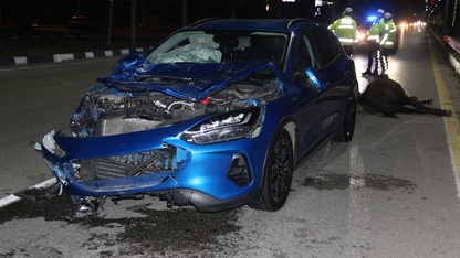 Manisa'da yola çıkan ata çarpan otomobildeki 3 kişi yaralandı