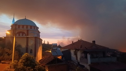 Manisa'da 3 ilçedeki orman yangınlarına müdahale sürüyor