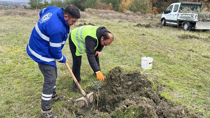 Demirci'de atıl arazilere meyve ağaçları dikiliyor