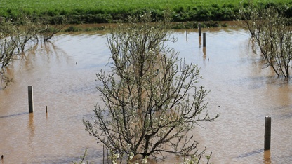 Manisa'da sağanak ve fırtınanın ardından hasar tespit çalışmaları sürüyor