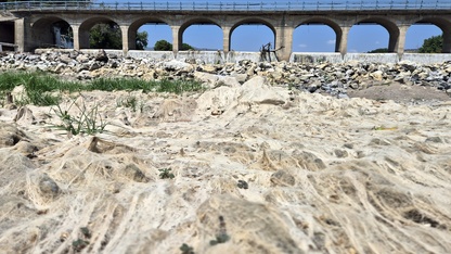 Kuraklığın etkisiyle Gediz Nehri'nin bazı bölümleri kurudu
