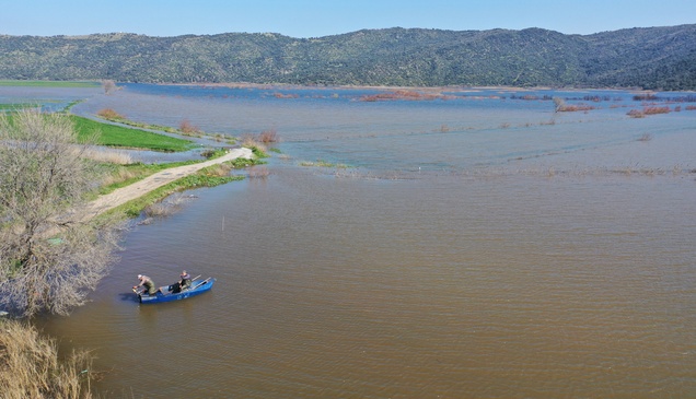 Aydın'da taşkın sonucu su altında kalan tarım arazilerinde balık avlanıyor