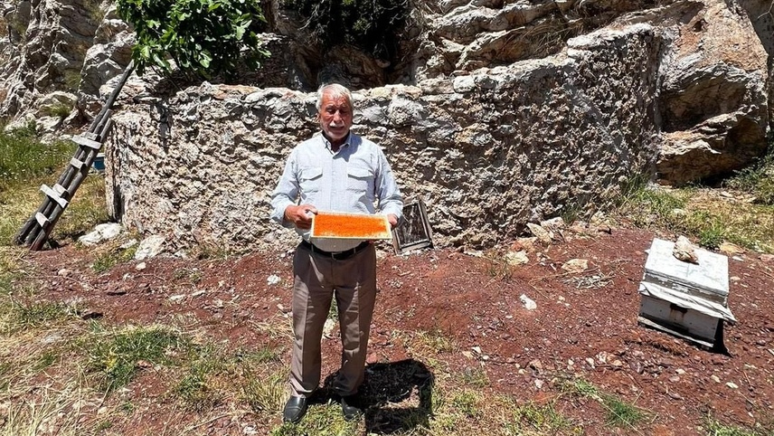 Marmaris'in tarihi arı avluları "bal ormanı" projesiyle yeniden canlanıyor