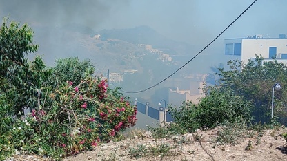 Bodrum'da makilik ve otluk alanda çıkan yangın söndürüldü