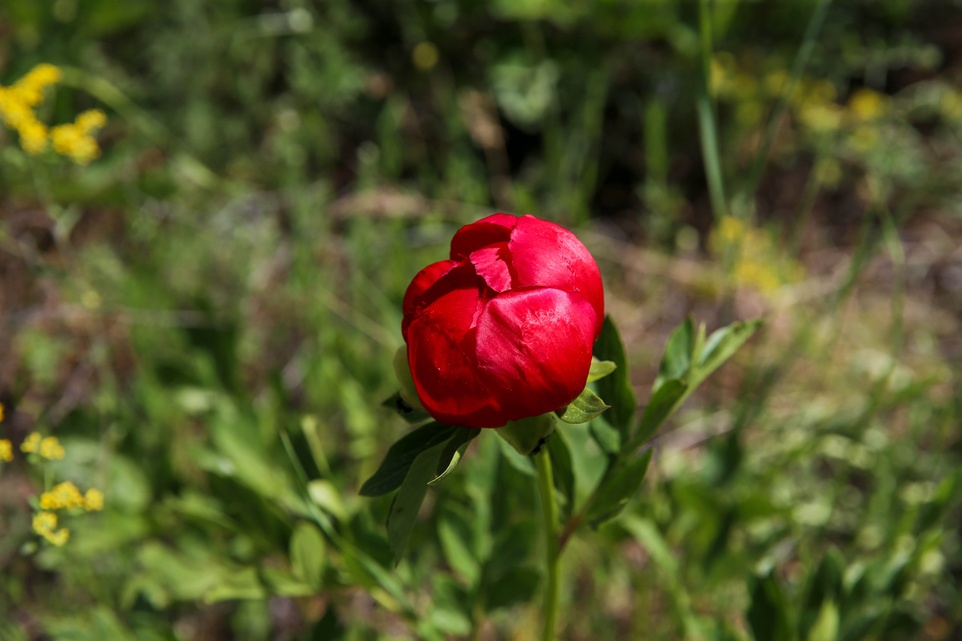 Blog Single